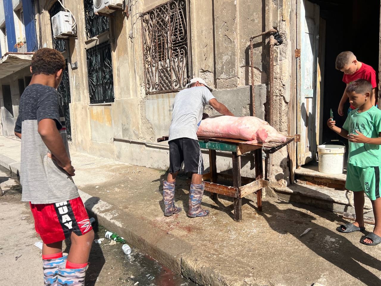 Vecinos preparan un cerdo en la vereda (Infobae)