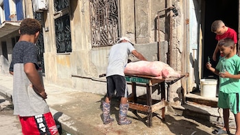 Crisis sin fin en Cuba: jóvenes del servicio militar obligatorio recolectan la basura y ciudadanos cocinan cerdo en la calle