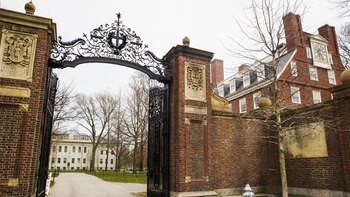 Foto: Adam Glanzman/Bloomberg