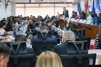 Un orador habla desde un atril en un gran salón con mesas largas, múltiples personas sentadas, banderas de varios países, micrófonos y computadoras