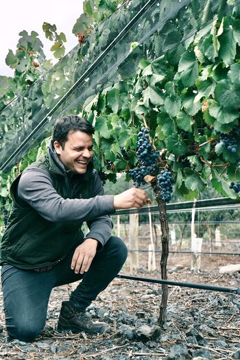 El enólogo Ariel Angelini de