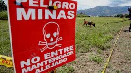 Colombia pedirá nuevo plazo para desmontar minas antipersonales, se mantienen en más del 20% del territorio 