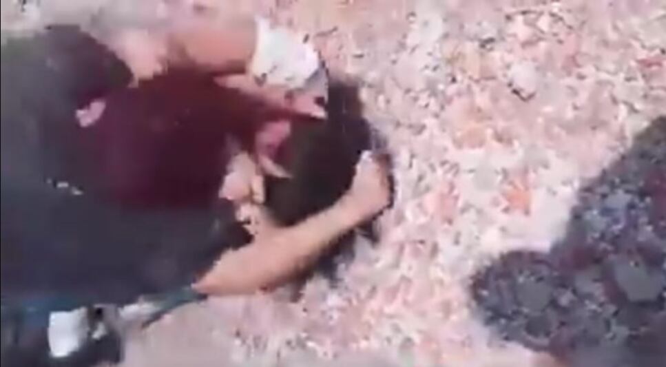 La brutal pelea entre dos chicas antes del ataque a una escuela ubicada en la localidad de Grand Bourg