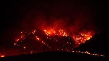 Los medios aéreos se reincorporan al incendio de Los Gallardos tras una noche de evolución favorable