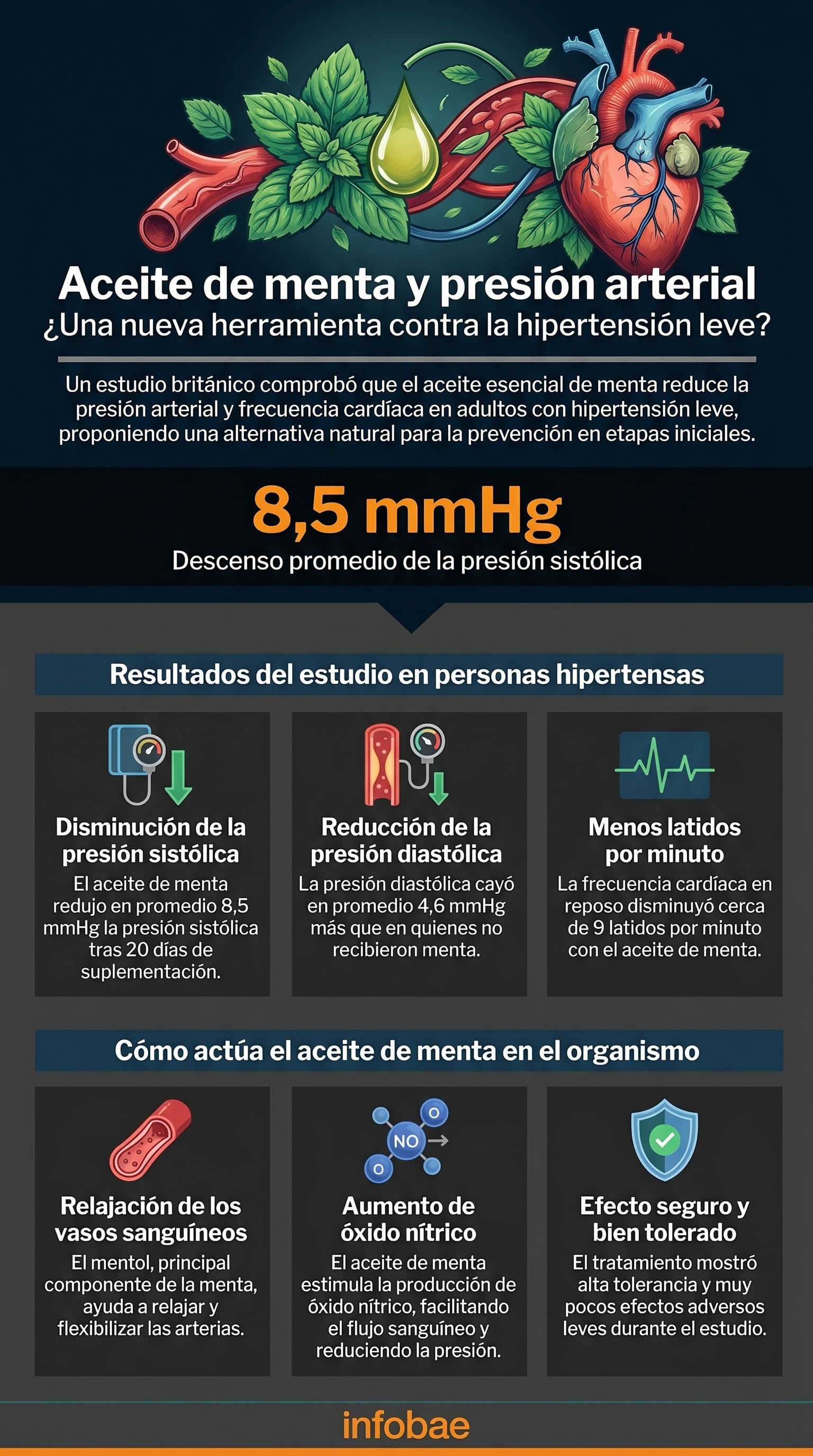 Investigadores reportan una baja promedio de 8,5 mmHg en la presión sistólica tras 20 días de suplementación con aceite esencial de menta (Imagen Ilustrativa Infobae)
