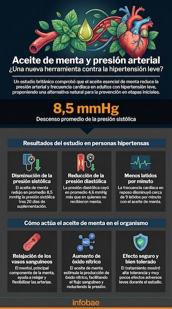 Infografía sobre el aceite de menta y la presión arterial, mostrando un corazón, vasos sanguíneos, hojas de menta, gota de aceite, y los resultados del estudio.