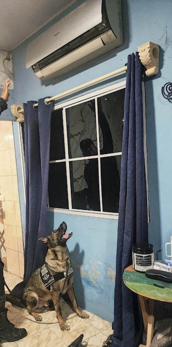La operación se extendió a una vivienda de la colonia Las Brisas, en Chalatenango Centro, donde la Policía halló marihuana y otros objetos. (Cortesía: Policía Nacional Civil)