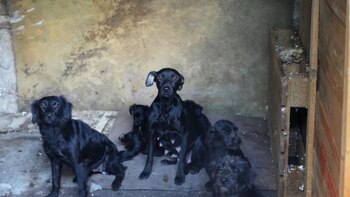 La denuncia ciudadana es fundamental