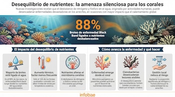 Infografía que muestra un arrecife coralino con peces y explica mediante iconos y texto cómo el desequilibrio de nutrientes afecta a los corales, causando enfermedades.