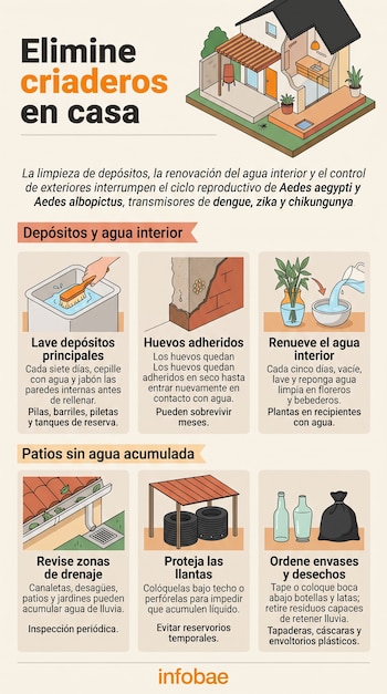 Infografía con ilustraciones de una casa, un cepillo en una pileta, huevos en una pared, un florero, una canaleta de tejado, llantas y botellas.