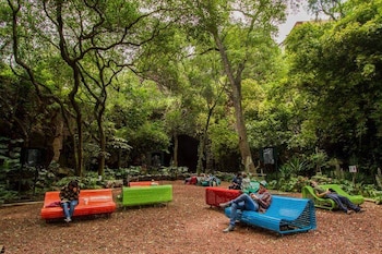 Antes de convertirse en el