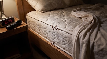 Colchón blanco con chinches, armazón de cama de madera, almohada, manta beige, mesita de noche con reloj despertador y linterna.