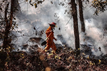 Imagen U5I33ZPMMNERLAC3AX4CSJ6EYI