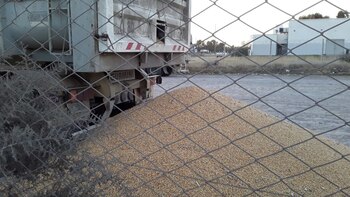 Uno de los camiones a