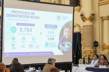 Pantalla de proyección con infografía sobre desnutrición aguda en Guatemala, mostrando texto, números, gráficos y la imagen de un niño. Varias personas sentadas asisten a la presentación