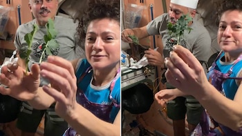 “Simple y delicioso”: la NASA logra cultivar kale en la Estación Espacial y revela la habilidad clave para llegar a Marte