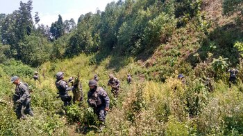 Luis Cresencio Sandoval destacó resultados