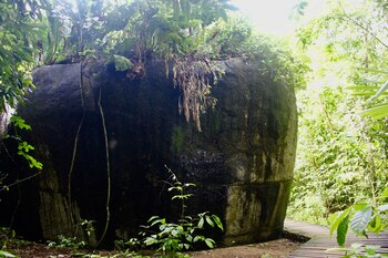 Lastimosamente, los controles en las