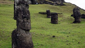 El ADN antiguo apunta a