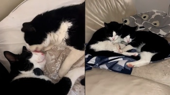 Tras una pérdida trágica, abuela