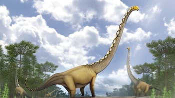 Descubren en Tailandia un dinosaurio gigante de cuello largo de hace 150 millones de años