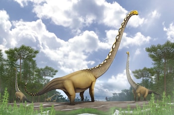 Descubren en Tailandia una nueva especie de dinosaurio saurópodo, Uragasaurus kalasinensis (Crédito: Scientific Reports (2026). DOI: 10.1038/s41598-026-49822-3)