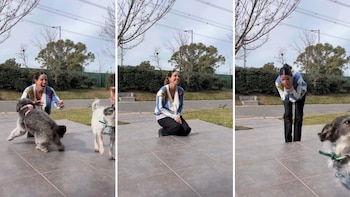 Cande Molfese reveló el género de su bebé con la ayuda de sus dos perros: “Ay, no lo puedo creer”