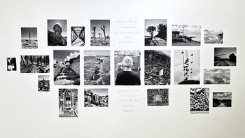 El arte triunfa sobre el