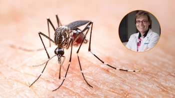 El virus del Nilo ha provocado dos muertes y varias hospitalizaciones en varias regiones de Andalucía