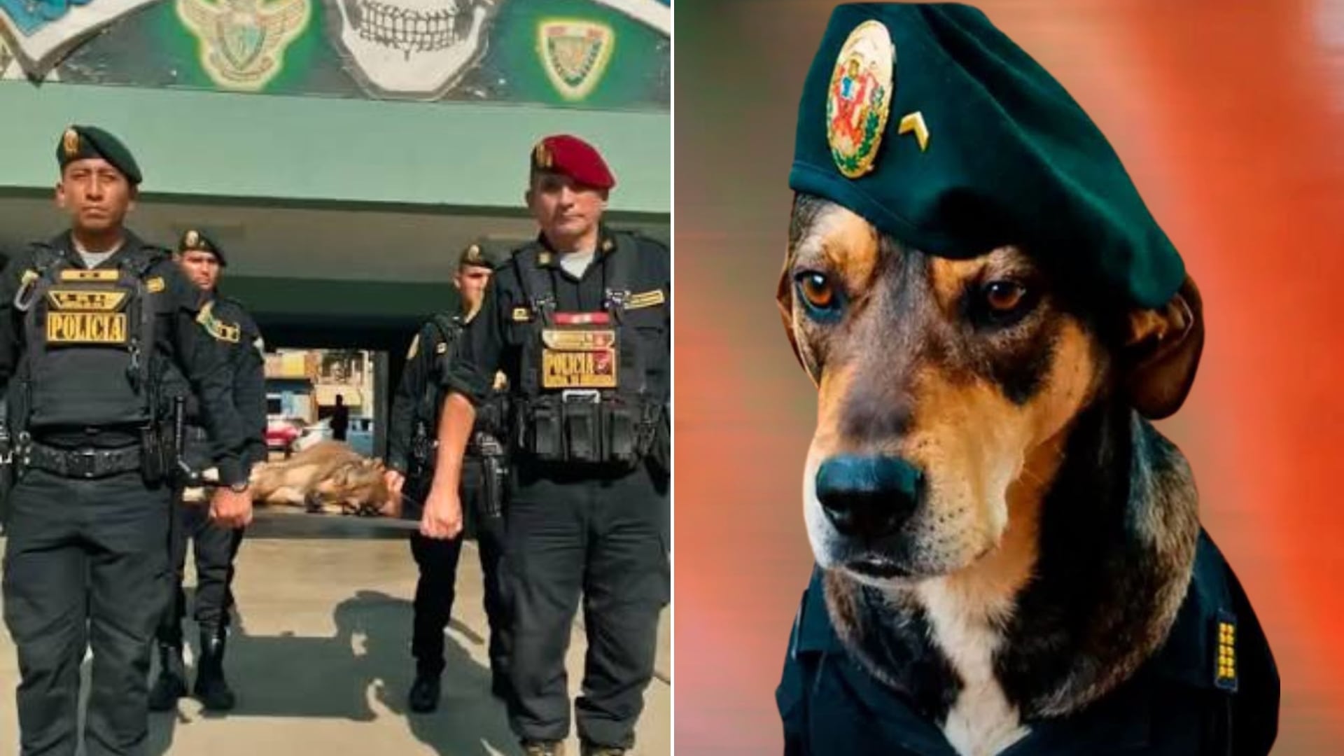 Agentes de la Policía Nacional del Perú en Trujillo rinden homenaje de despedida a Vaguito, un can que sirvió en el Escuadrón Verde y la Unidad de Servicios Especiales.