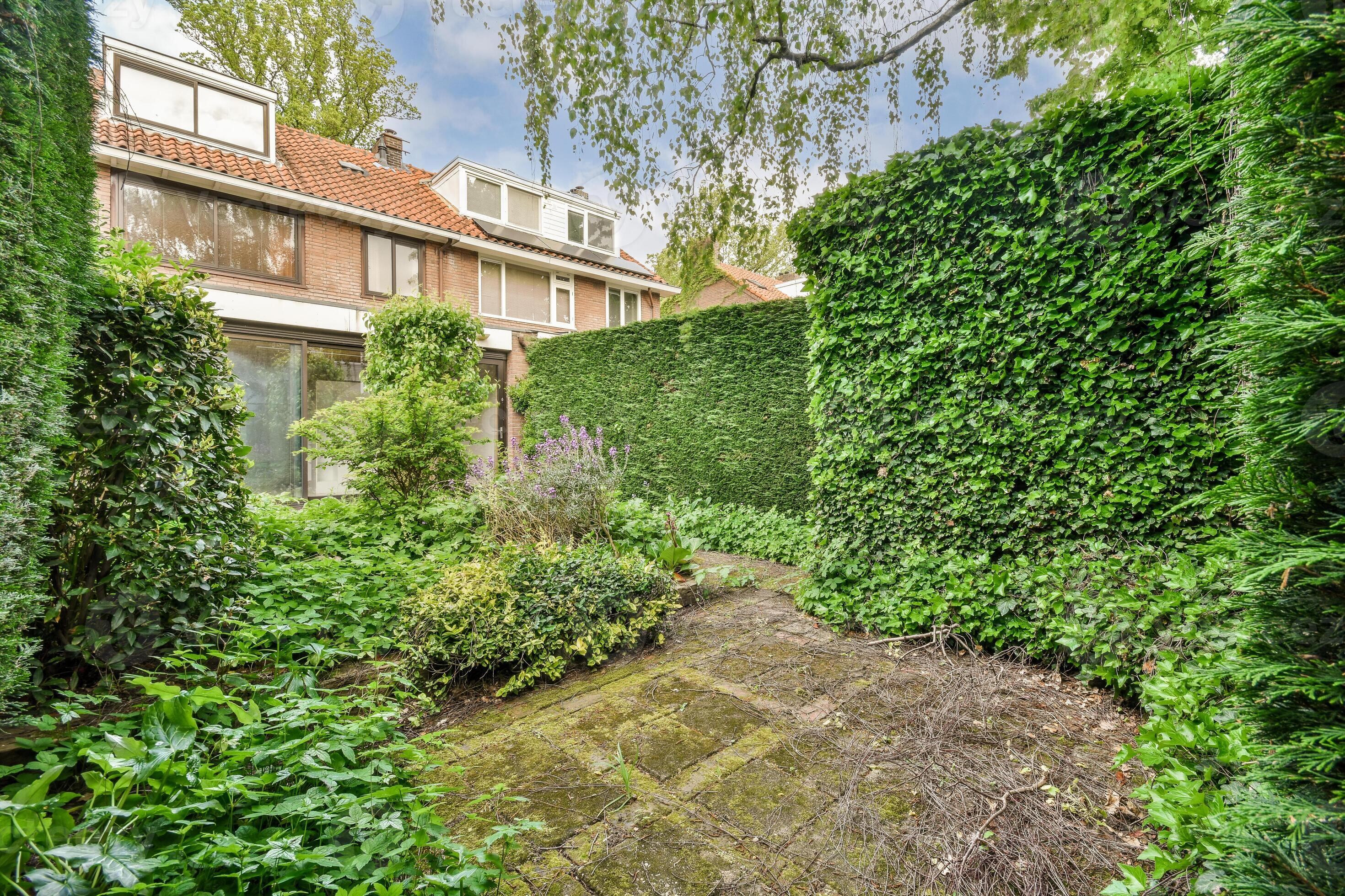 Imagen representativa de una casa con setos y plantas (vecteezy)