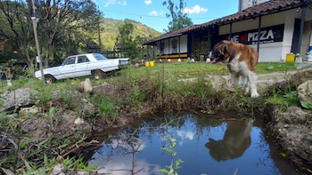 Empresario denuncia a la SAE: entidad habría ordenado desalojo arbitrario en predio arrendado al que le invirtió más de $170 millones