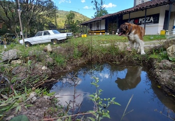 Denuncia - SAE - Antioquia