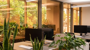 Interior de oficina con grandes ventanales ámbar, que muestran árboles y edificios externos, con escritorios, monitores y plantas en primer plano.