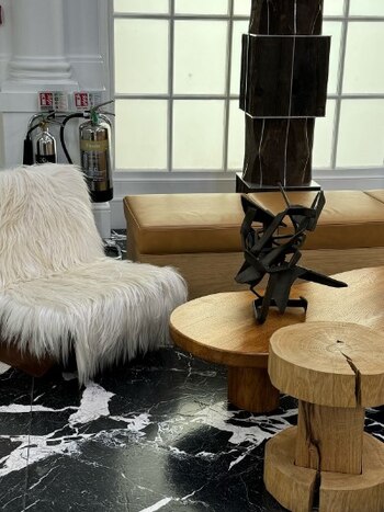 El espacio no identificado que muestra pieles y muebles costosos. (IG/hannah0well)