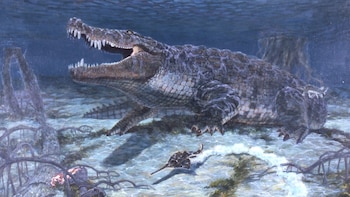 El Museo de Ciencias Tellus