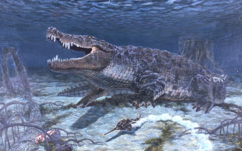 El Deinosuchus schwimmeri, conocido como el 'depredador de dinosaurios', alcanzó hasta 9,45 metros y habitó el este de Estados Unidos hace 83 millones de años - (Universidad Estatal de Columbus // Crédito artístico: Bob Nicholls, 2003)