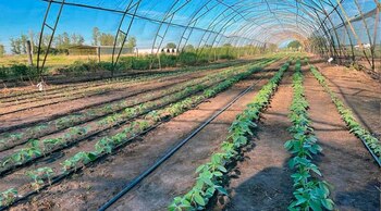 La “Tango 4S” podría representar