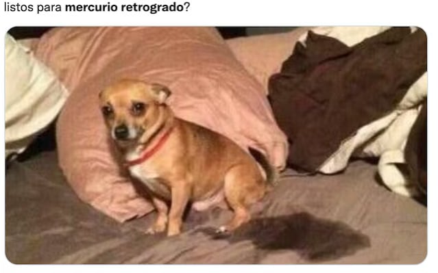 (X)