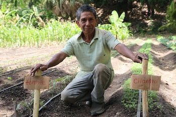 La FAO entrega insumos y asistencia para sostener granos básicos en el Corredor Seco