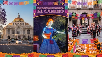 Qué hacer en CDMX hoy domingo 25 de octubre: actividades gratis y al aire libre para toda la familia