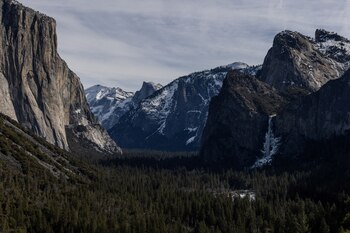Yosemite alberga secuoyas gigantes y