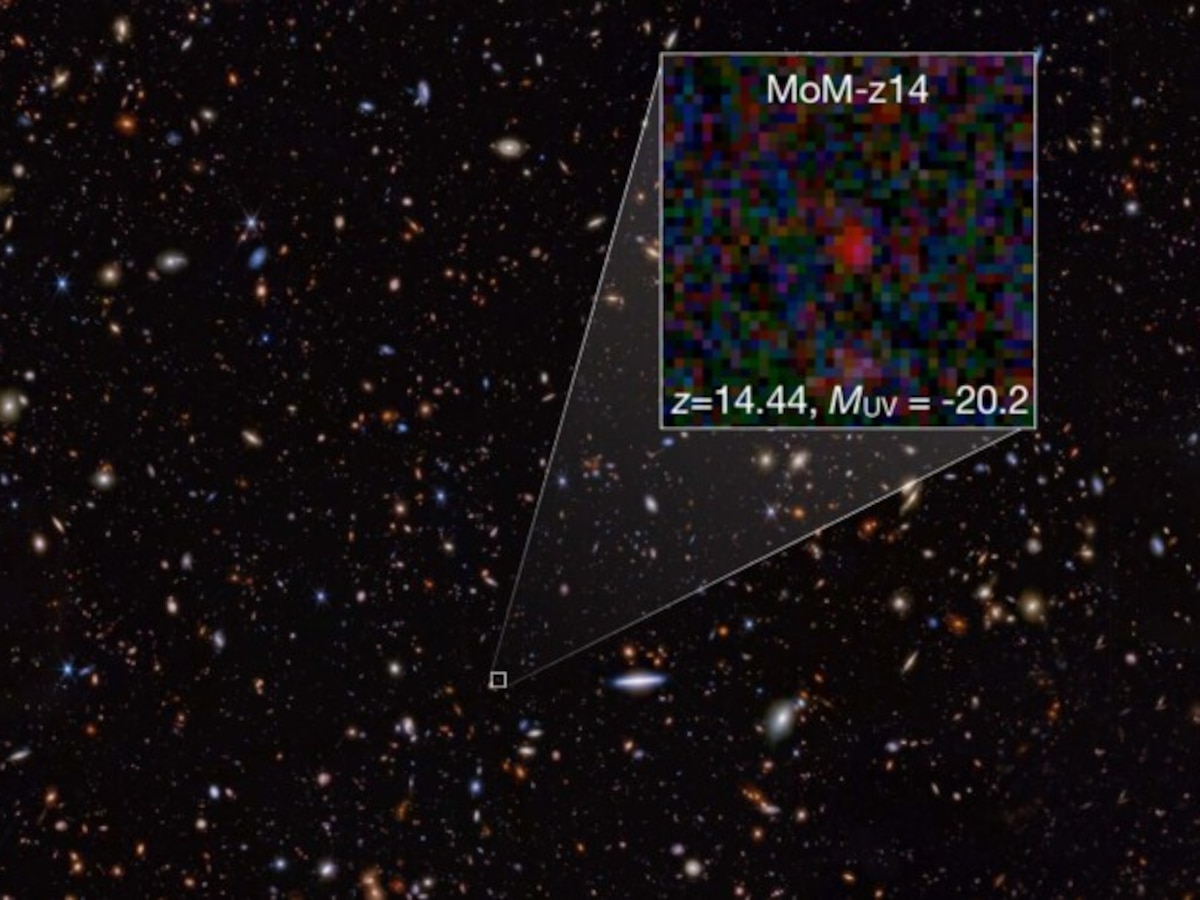 El telescopio espacial James Webb rompió su propio récord y observó la galaxia más antigua - Infobae