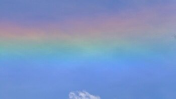 Medellín se viste de colores