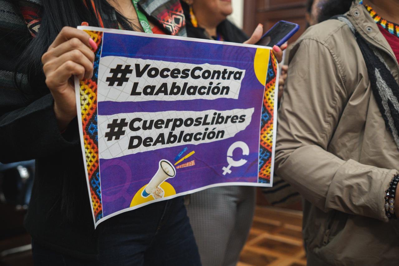 La ablación consiste en la extirpación parcial o total de los genitales externos femeninos - crédito @alexandravasoch / x