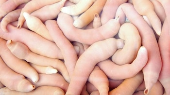 Quienes lo han llegado a