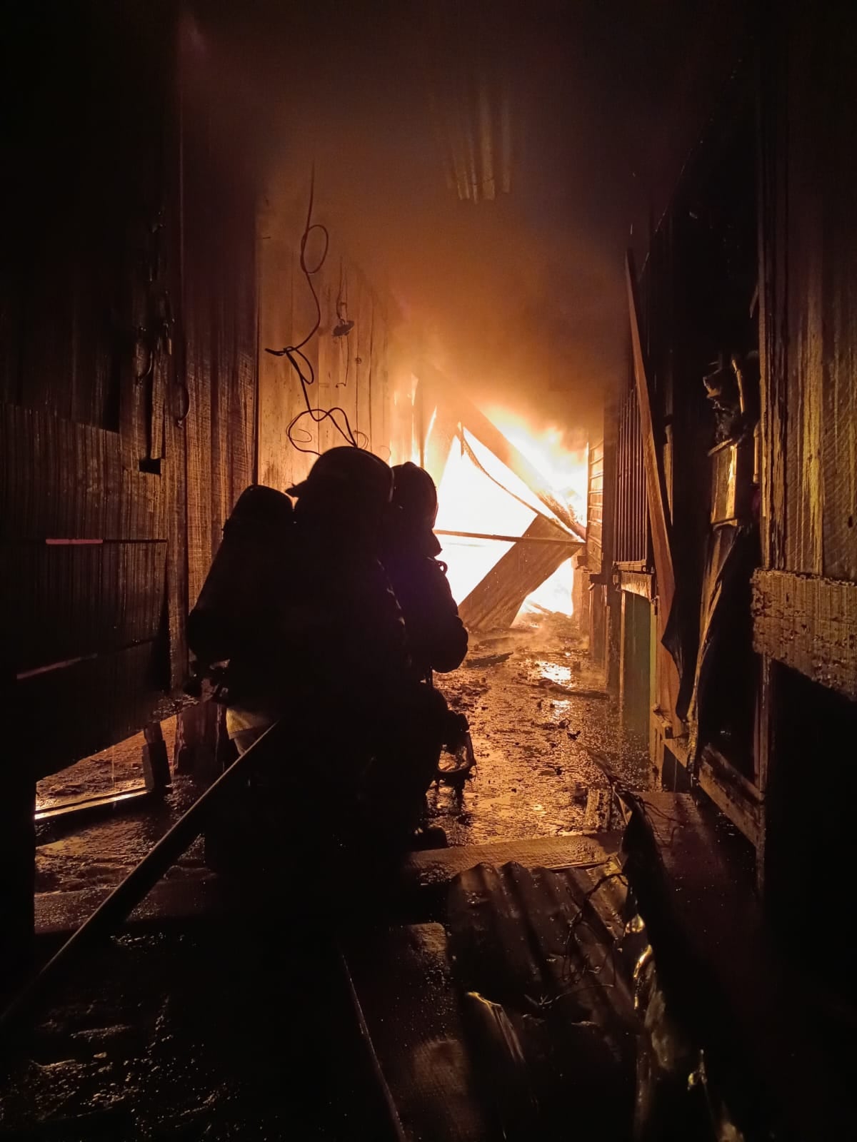 Incendio cobra la vida de cinco menores y un joven en San Pedro Sula Honduras