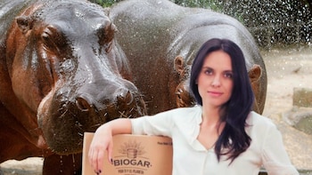 María del Mar Pizarro apoyó sacrificar 80 hipopótamos en Colombia: “Especie invasora introducida ilegalmente por un narco hace 40 años”