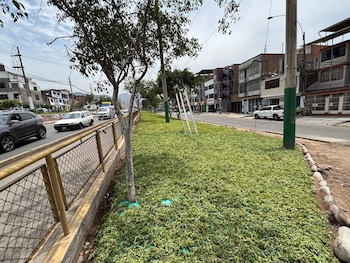 La iniciativa se enmarca en