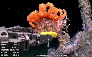 La campaña impulsada por ExactasUBA